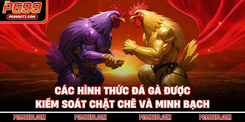 Đá Gà Thomo - Trường Đấu Chuyên Nghiệp, Cá Cược Hợp Pháp Các hình thức đá gà được kiểm soát chặt chẽ và minh bạch